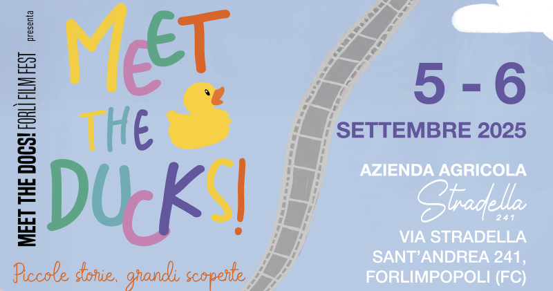 Meet the Ducks